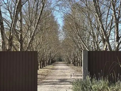 Terreno en San Lorenzo