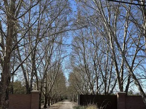 Terreno en San Lorenzo