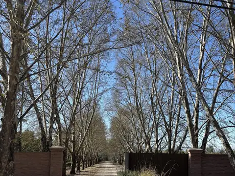 Terreno en San Lorenzo