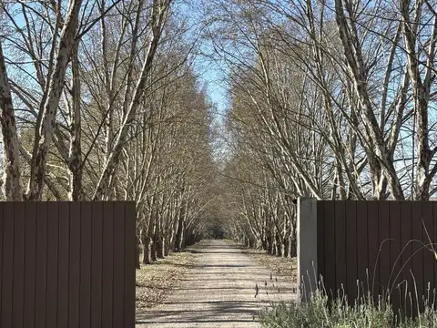 Terreno en San Lorenzo