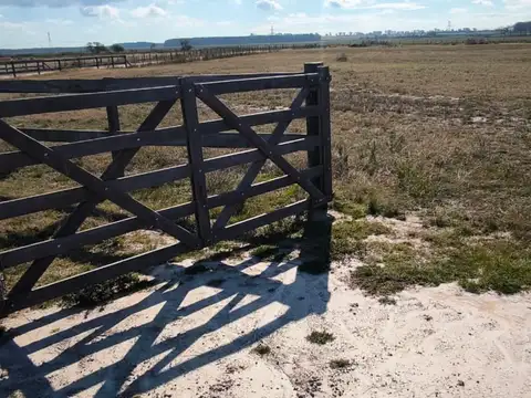 LOTE/TERRENO 14.800 M2 CHACRAS DE OLIVIA, ZÁRATE