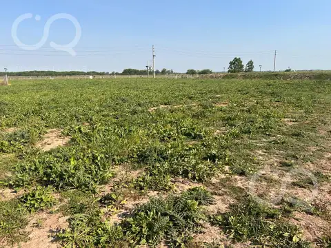 VENTA TERRENO INTERNO SANTA CLARA AL SUR SAN VICENTE
