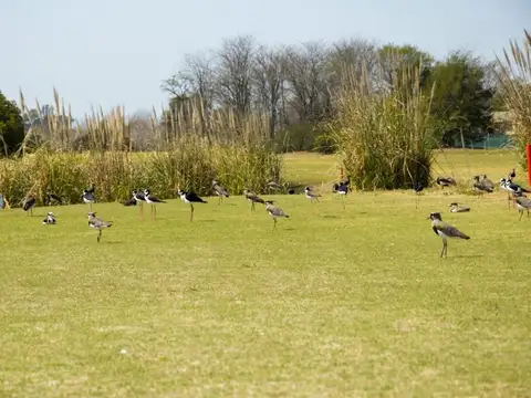 Terreno en Venta en Everlinks Golf & Country Club, USD 43.000