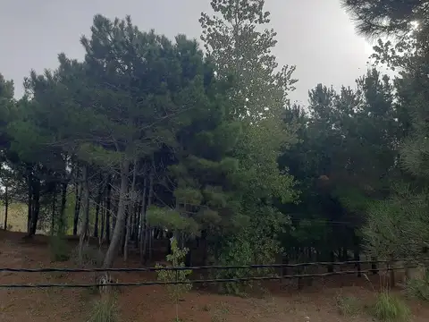 Calle 18 ENTRE GUTIERREZ Y FRIAS