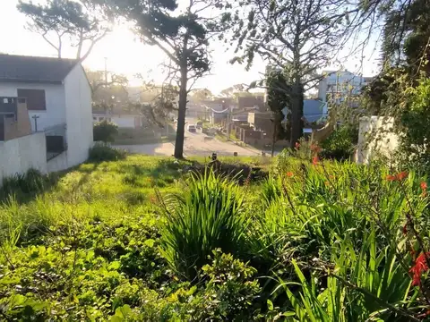 Venta lote 675m2  multifamiliar hotelero FOT 2,00 FOS 0,50