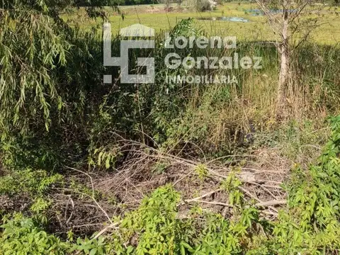 Campo en Entre Rìos 15 Hectáreas