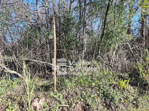 Campo en Entre Rìos 15 Hectáreas