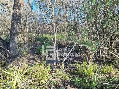 Campo en Venta Haras