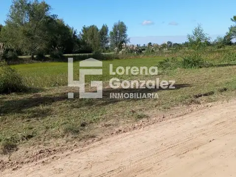 Campo en Entre Rìos 15 Hectáreas