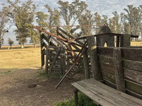 Campo en Las Bandurrias