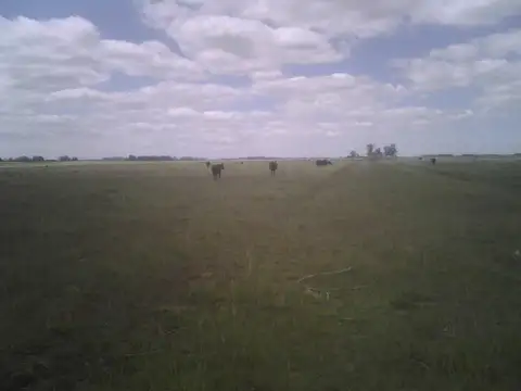 Ruta 2 Km 68