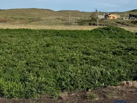 Terreno en Venta 47  mts Frente