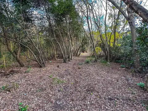 LOTE HECTAREA EN VENTA LA PLATA