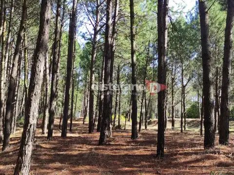 Terreno en Venta en Pinamar, USD 140.000