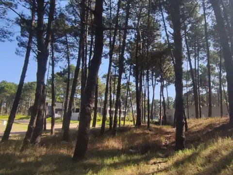AV. FRAGATA LIBERTAD 100