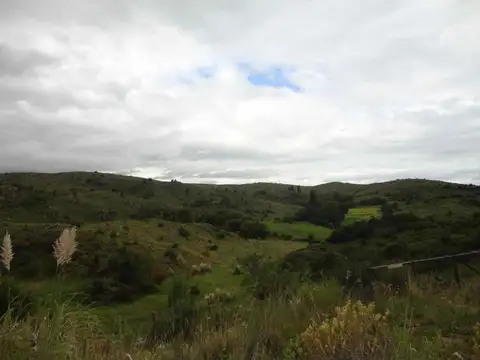 VENTA DE CAMPO SOBRE RUTA RIO GRANDE