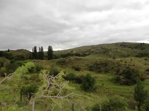 Ruta Provincial 9 100