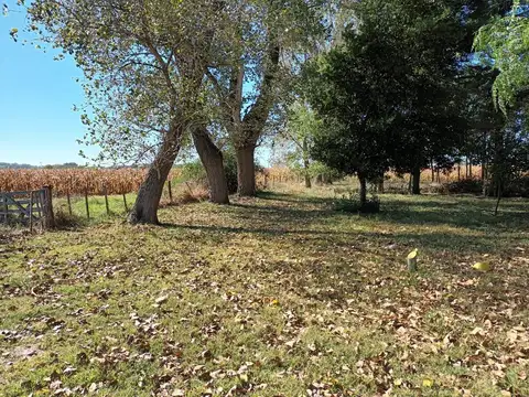 Campo en Las Flores