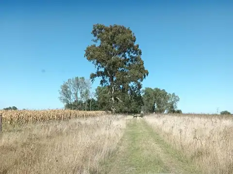 A 6 Km de R Nº3 y a 9 Km de la ciudad de Las Flores