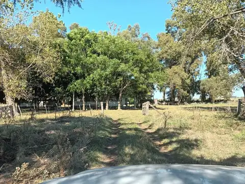 Campo en Las Flores