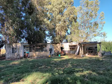 Campo en Las Flores