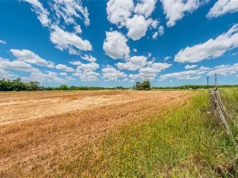 Chacra de 6,5 Ha con Arroyo y Suelo Productivo