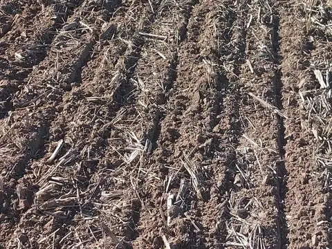 Campo en  General Viamonte - Cordoba