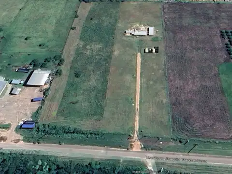 Escribano Joaquin Brandao Sosa