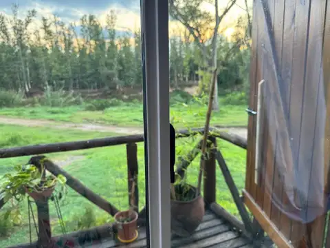 Dorrego y Berutti 100