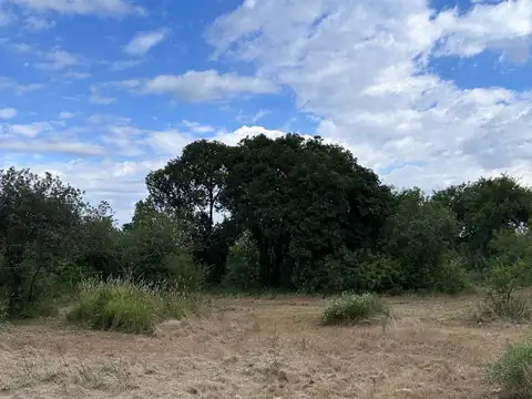 Oportunidad terreno con escritura en villa de las rosas!!