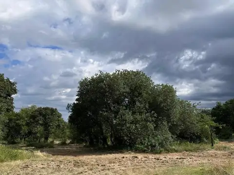 Terreno en Venta en Villa de las Rosas, USD 63.000