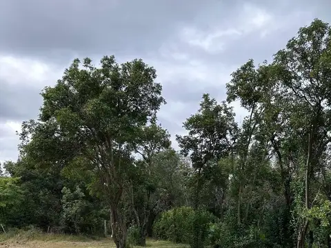 Terreno en Venta de 6852,0 m2