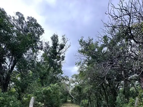 Terreno en Venta en Villa de las Rosas, USD 63.000