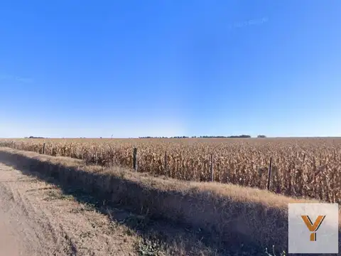 Campo en venta - 77 Hectáreas - Córdoba
