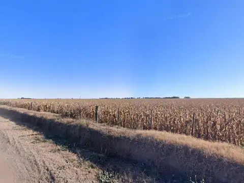 Campo en venta - 77 Hectáreas - Córdoba