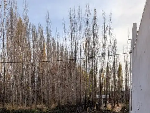 Terreno en Venta de 365,0 m2