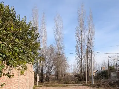 Belisle casi Avenida San Martín - Plottier