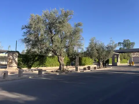Montecaseros , Piso 0