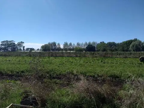 Terreno en Venta en La Plata, USD 250.000