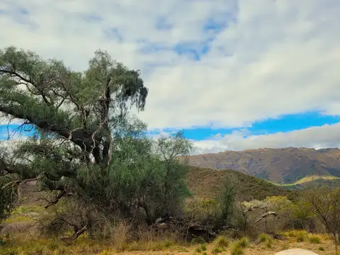 ESPECTACULAR FRACCIÓN EN CARPINTERÍA, SAN LUIS