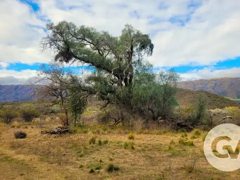 Terreno en Venta en Carpintería, USD 65.000