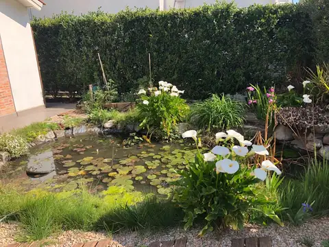 Country Indio Cua -Exaltacion de la Cruz 95