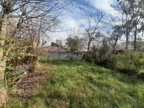 Terreno en venta de 10x50 en Punta Lara