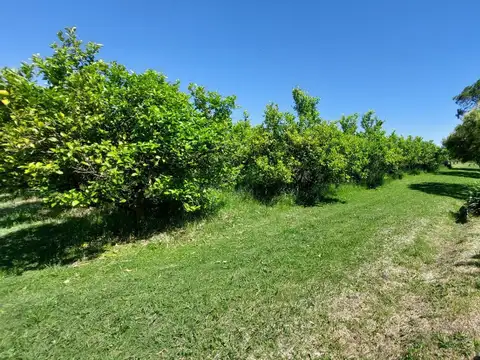VENTA Quinta Ideal CHACRA TURISTICA/CAMPO DEPORTES