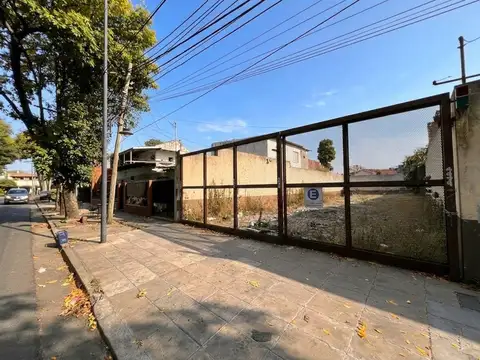 Albarellos 4979