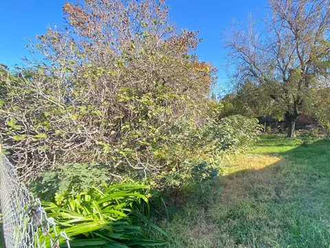 Terreno en Venta en Oliveros, Iriondo