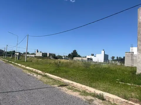Cepeda 1800