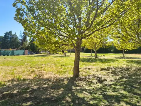 Terreno en Venta de 673,0 m2