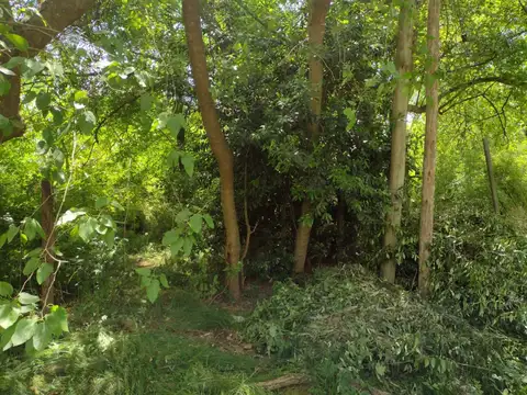Terreno en Venta de 2741,0 m2