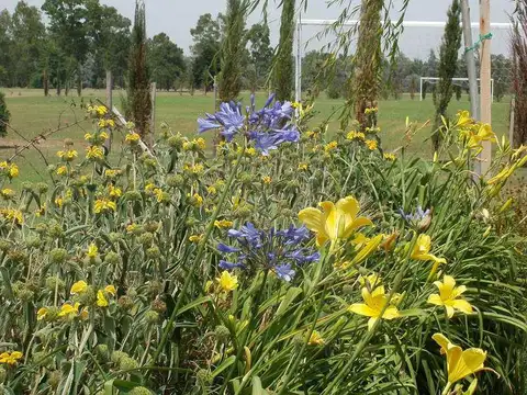 Terreno en Venta de 950,0 m2